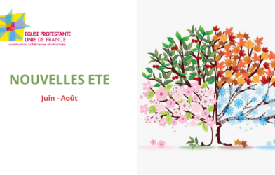 NOTRE BULLETIN « NOUVELLES » N° 28  ETE 2026